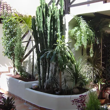 In Style With Sea View Apartment Icod De Los Vinos