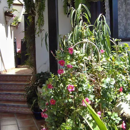 Appartement In Style With Sea View