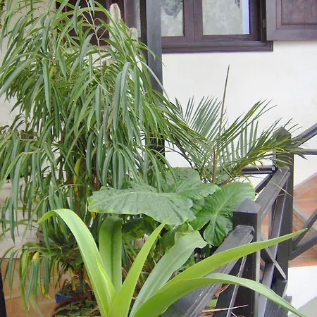 Appartement In Style With Sea View *